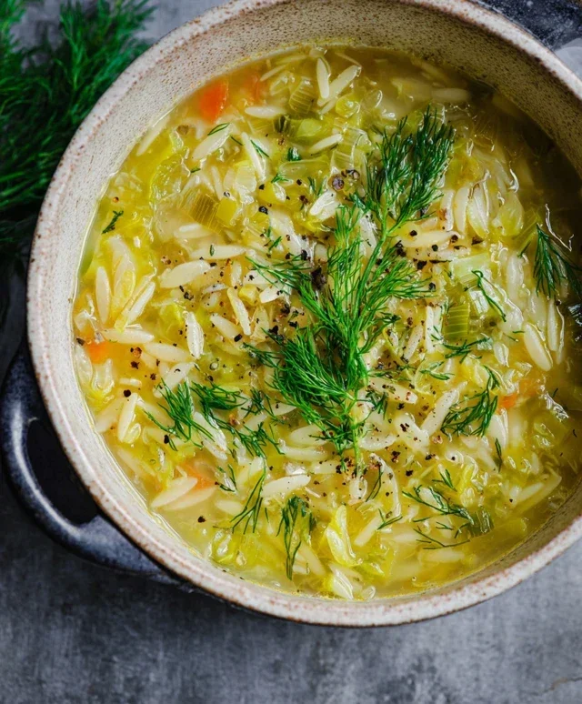Orzo Leek and Dill Soup