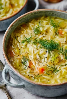 Orzo Leek and Dill Soup
