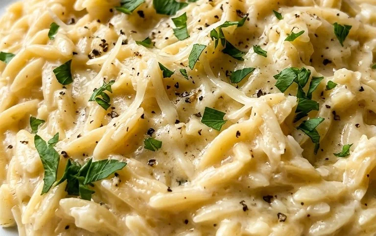 Creamy Garlic Parmesan Orzo